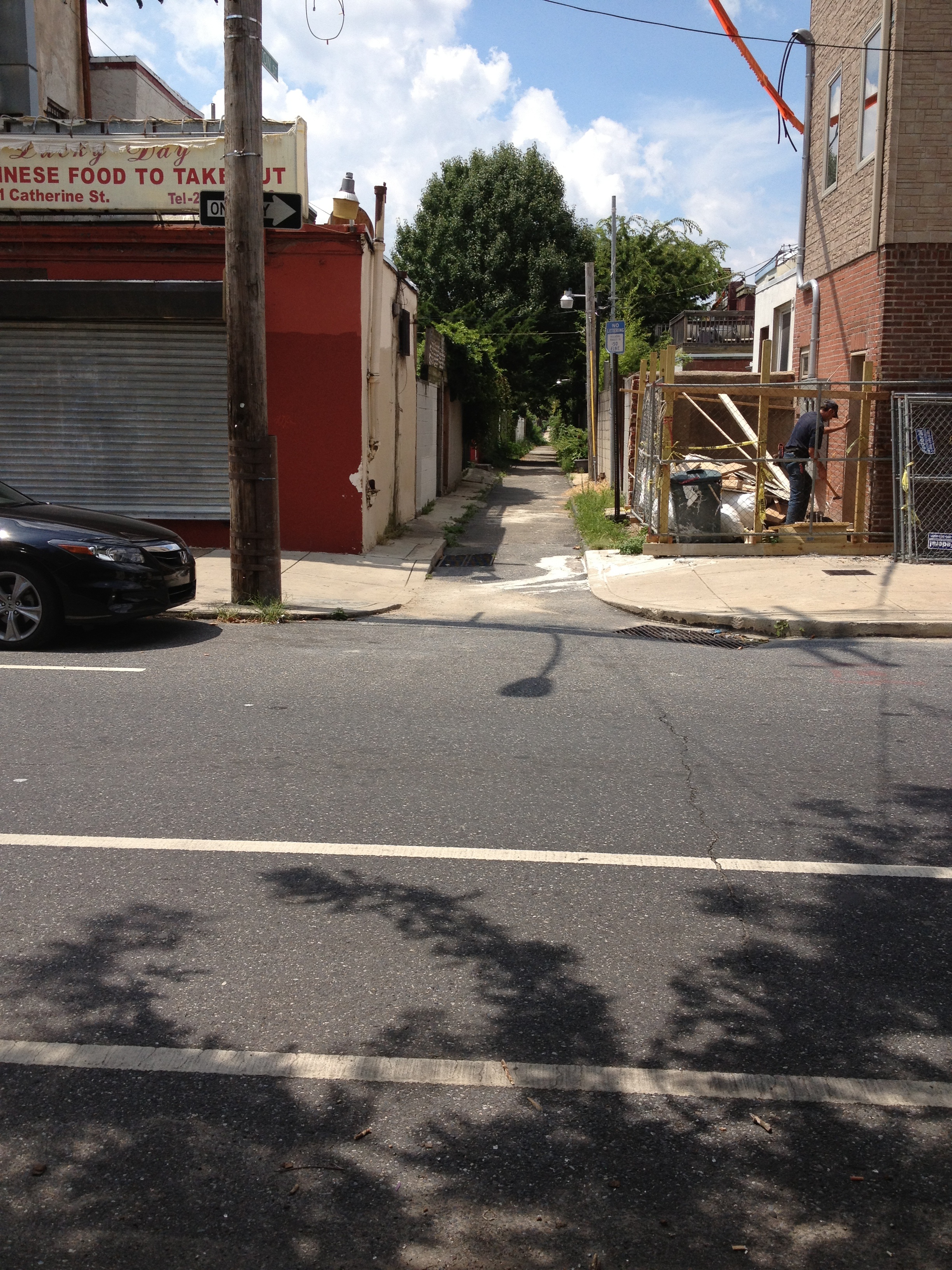 22nd Street vegetation 