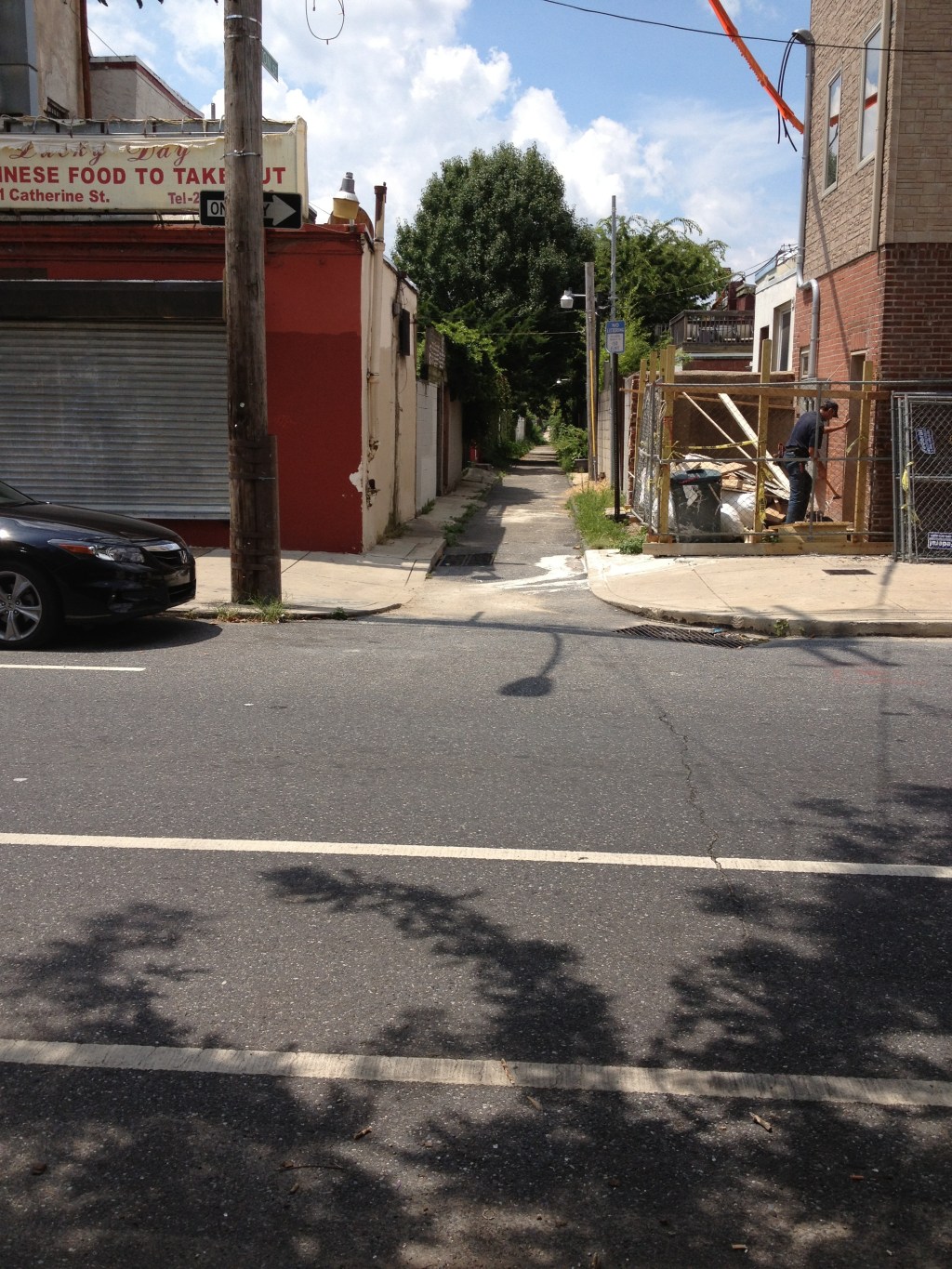 22nd Street vegetation