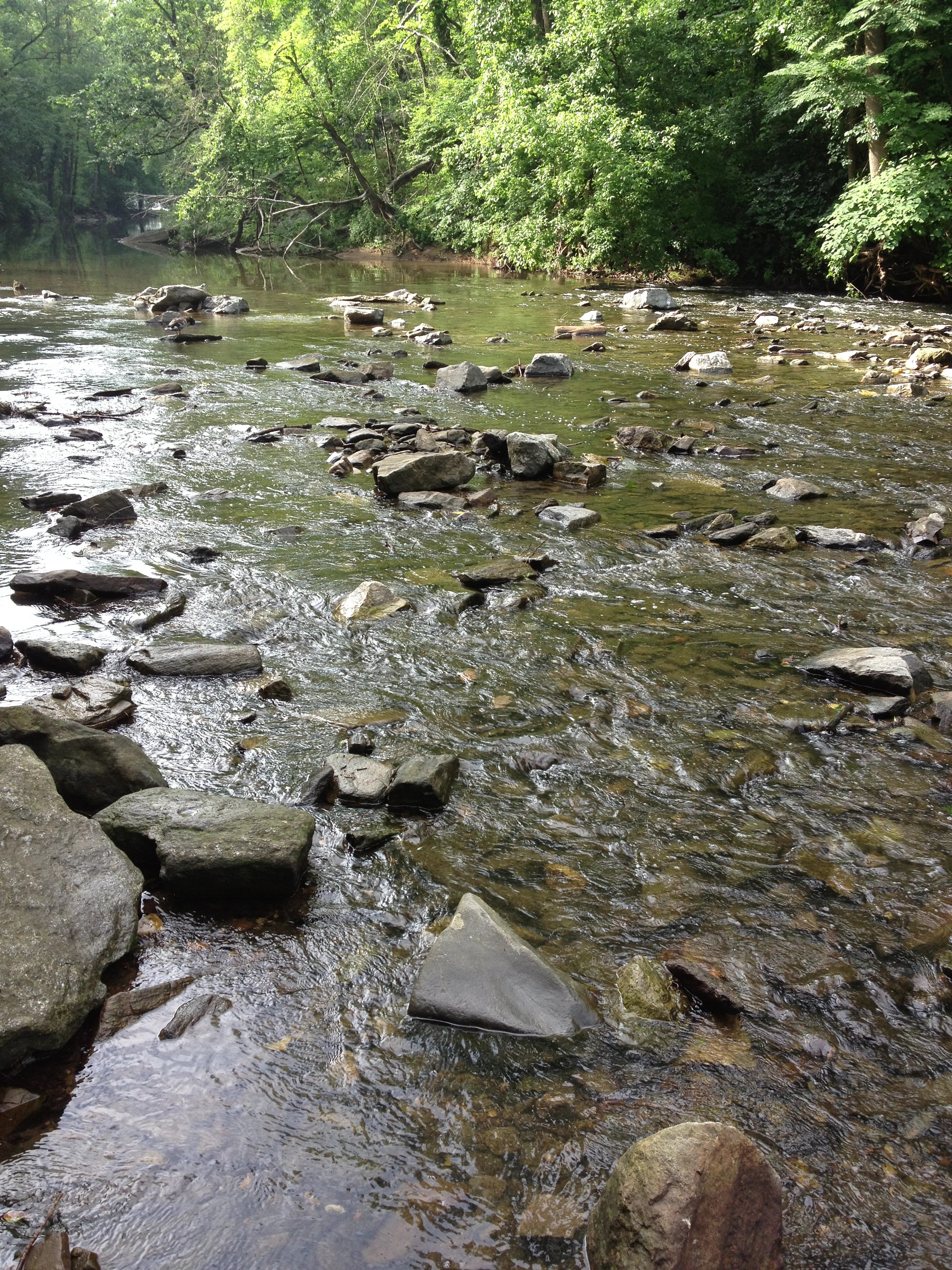 Wissahickon Wonderland