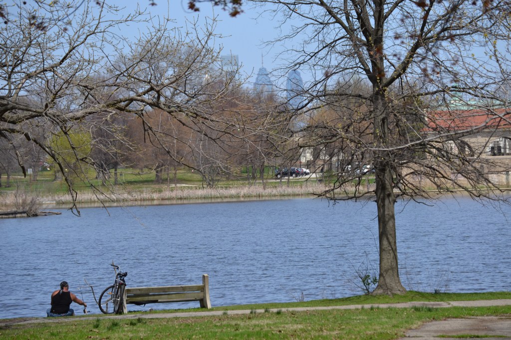 FDR adventure with&nbsp;corgi