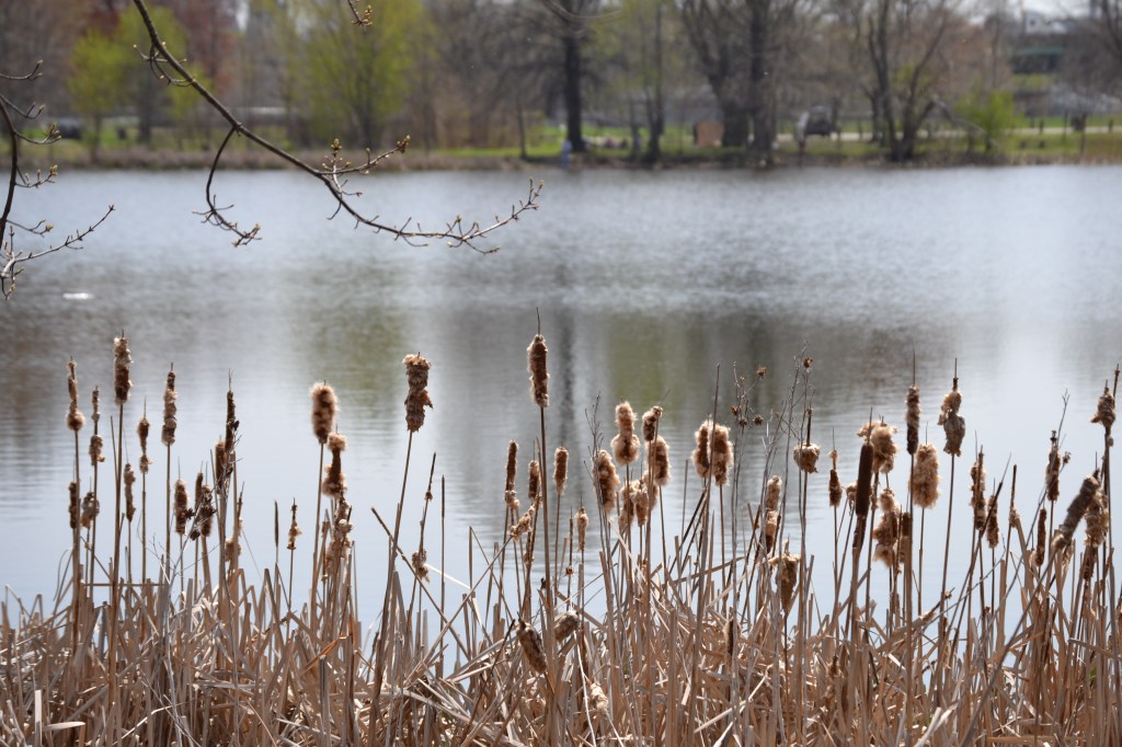 Spring in FDR&nbsp;Park
